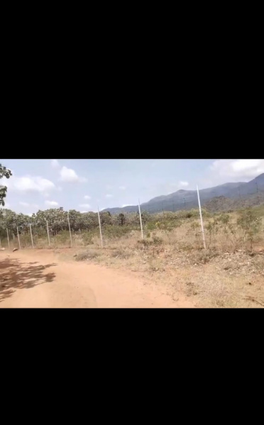  800 Acre Agricultural/Farm Land for Sale in Panagudi, Tirunelveli