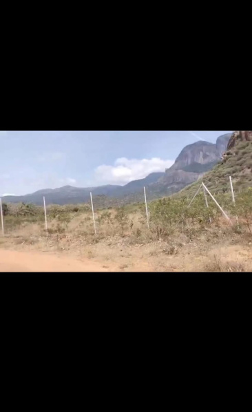  800 Acre Agricultural/Farm Land for Sale in Panagudi, Tirunelveli