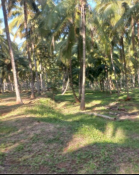  Agricultural Land for Sale in Thondamuthur, Coimbatore