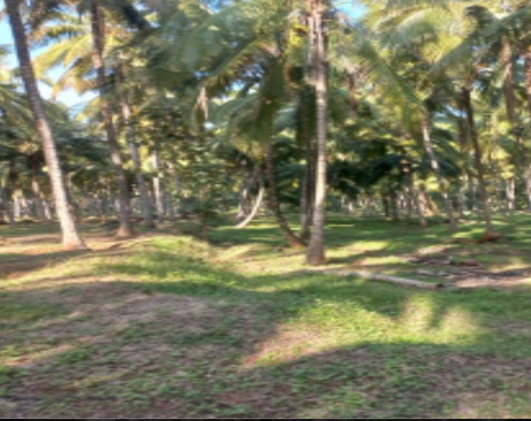  Agricultural Land 1 Acre for Sale in Thondamuthur, Coimbatore