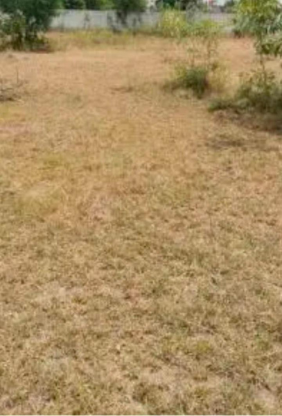  Commercial Land 2650 Sq.ft. for Sale in Vandular, Chennai