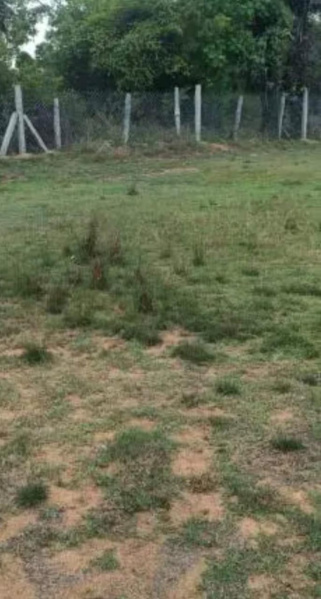  Commercial Land 6 Acre for Sale in Tindivanam, Villupuram