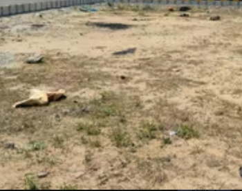  Commercial Land for Sale in Vepery, Chennai
