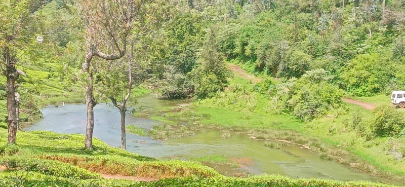  Industrial Land 597 Acre for Sale in Kotagiri, Ooty
