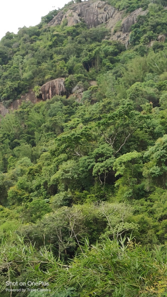  Industrial Land 750 Acre for Sale in Ketti, Nilgiris