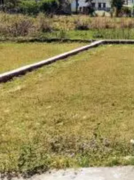  2 Acre Residential Plot for Sale in Thondamuthur, Coimbatore