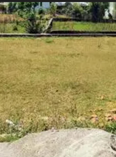  2 Acre Residential Plot for Sale in Thondamuthur, Coimbatore