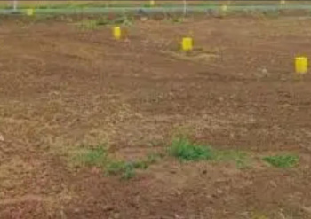  Residential Plot for Sale in Pallikaranai, Chennai