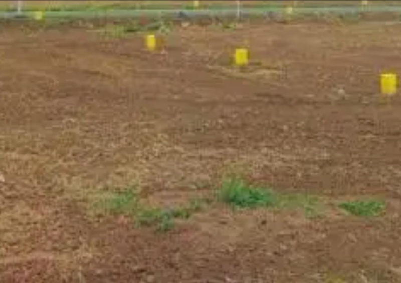  Residential Plot 26400 Sq.ft. for Sale in Pallikaranai, Chennai