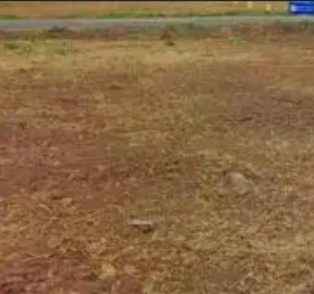 Residential Plot 26400 Sq.ft. for Sale in Pallikaranai, Chennai