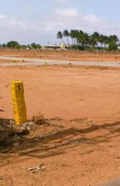  5 Acre Residential Plot for Sale in Podanur Shetty Palayam, Coimbatore
