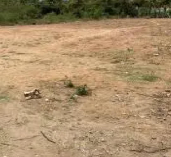  5 Cent Commercial Land for Sale in Ayikudi, Tirunelveli