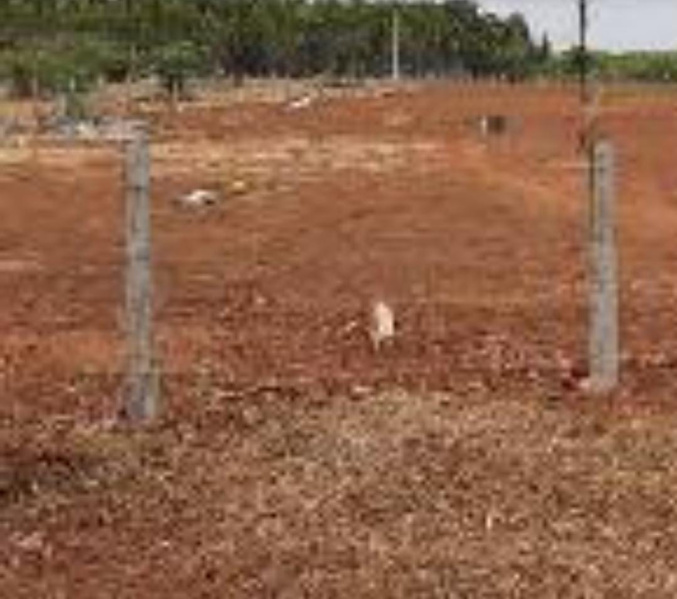  1 Acre Agricultural/Farm Land for Sale in Thondamuthur, Coimbatore