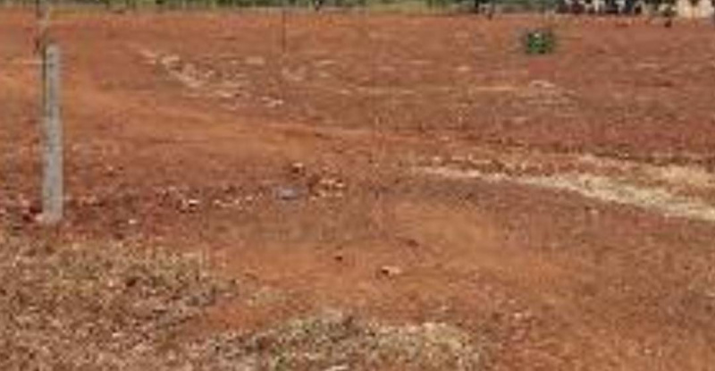  1 Acre Agricultural/Farm Land for Sale in Thondamuthur, Coimbatore