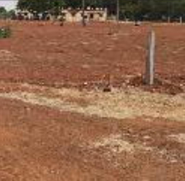  1 Acre Agricultural/Farm Land for Sale in Thondamuthur, Coimbatore