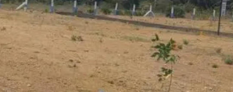  17 Acre Residential Plot for Sale in Kinathukadavu, Coimbatore
