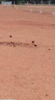  Commercial Land for Sale in Thachanallur, Tirunelveli