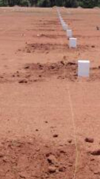  10 Acre Commercial Land for Sale in Thachanallur, Tirunelveli