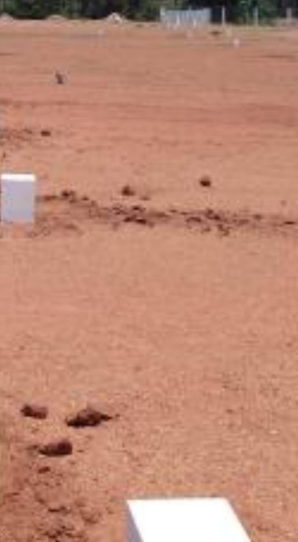  10 Acre Commercial Land for Sale in Thachanallur, Tirunelveli