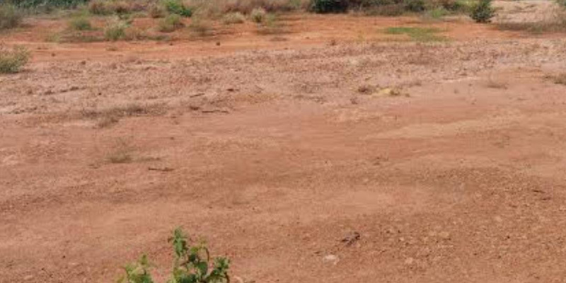  60 Cent Commercial Land for Sale in Melapalayam, Tirunelveli