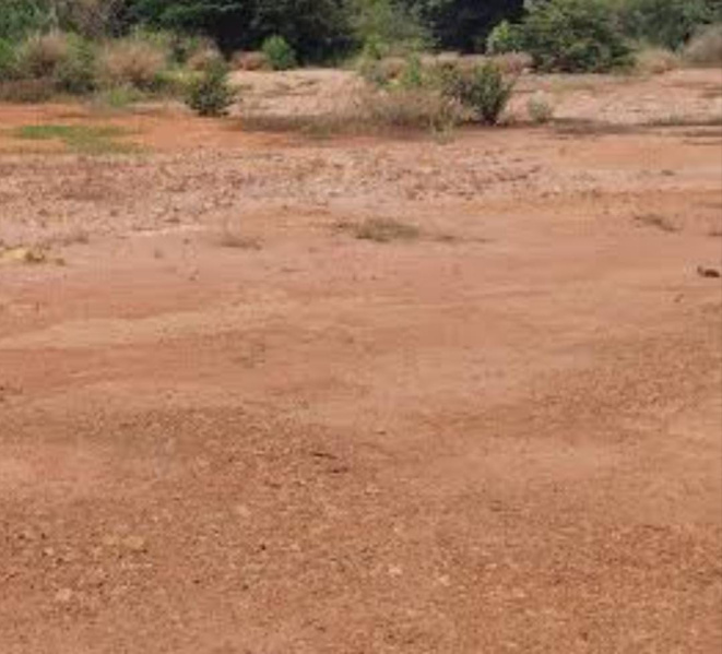  60 Cent Commercial Land for Sale in Melapalayam, Tirunelveli