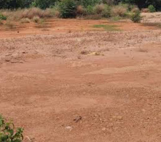  60 Cent Commercial Land for Sale in Melapalayam, Tirunelveli
