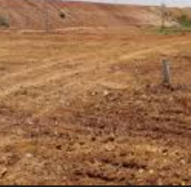  128 Acre Commercial Land for Sale in Thachanallur, Tirunelveli