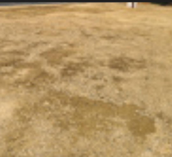  Residential Plot for Sale in NGO Colony, Tirunelveli