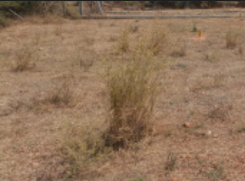  30000 Sq.ft. Commercial Land for Sale in Valasaravakkam, Chennai