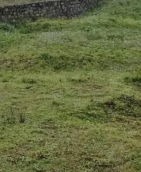  Residential Plot for Sale in Kodaikanal, Dindigul