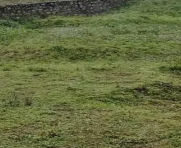  17 Cent Residential Plot for Sale in Kodaikanal, Dindigul
