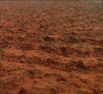  Agricultural Land for Sale in Thondamuthur, Coimbatore