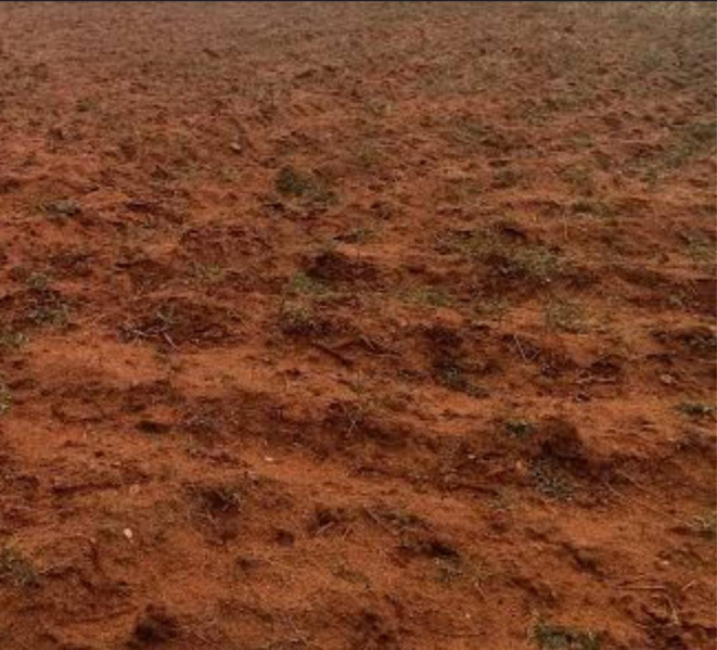  2 Acre Agricultural/Farm Land for Sale in Thondamuthur, Coimbatore