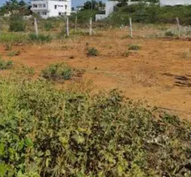  22 Cent Residential Plot for Sale in Jothipuram, Tirunelveli