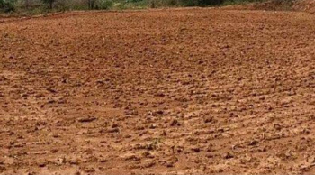  Agricultural Land for Sale in Navalurkottapattu, Tiruchirappalli