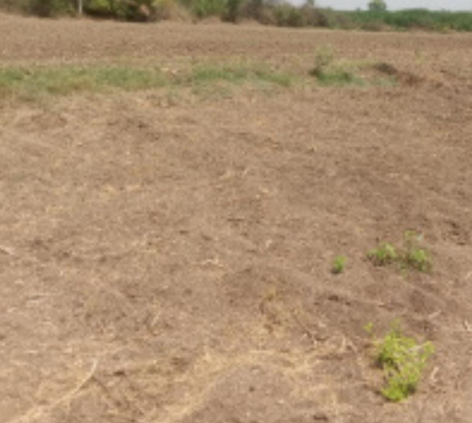  6 Acre Agricultural/Farm Land for Sale in Thanthoni, Karur