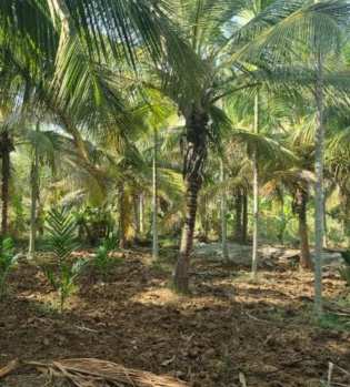  Agricultural Land for Sale in Sengalipalayam, Coimbatore