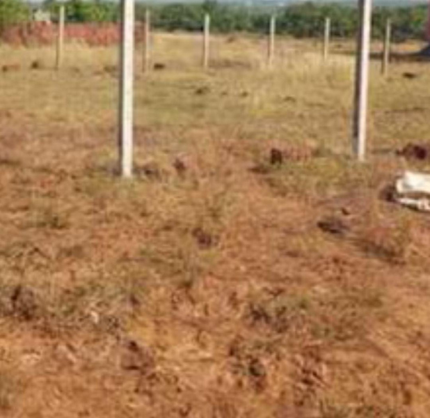  44 Cent Commercial Land for Sale in Gopalasamudram, Tirunelveli