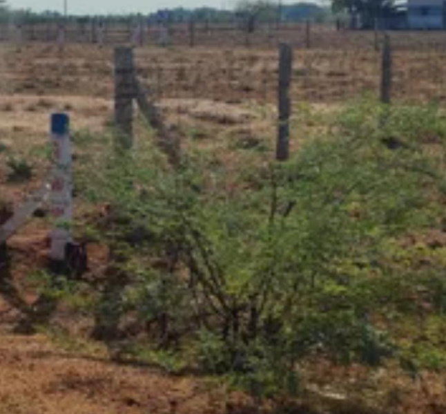  15 Cent Commercial Land for Sale in Mukkudal, Tirunelveli