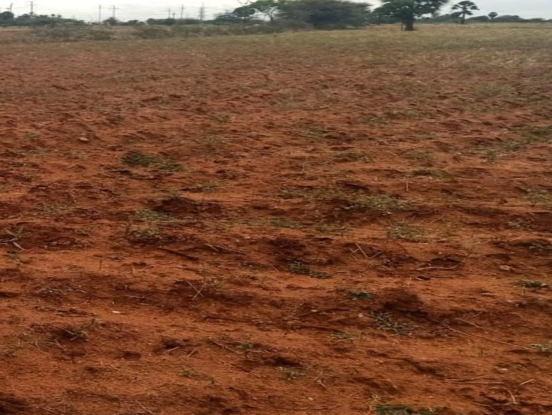 180 Acre Agricultural/Farm Land for Sale in Seithur, Virudhunagar