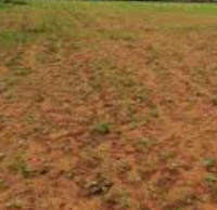  Commercial Land for Sale in Ponnamaravathi, Pudukkottai