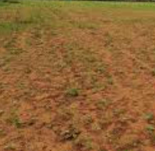  30 Acre Commercial Land for Sale in Ponnamaravathi, Pudukkottai
