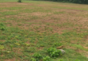  Agricultural Land for Sale in Thondamuthur, Coimbatore