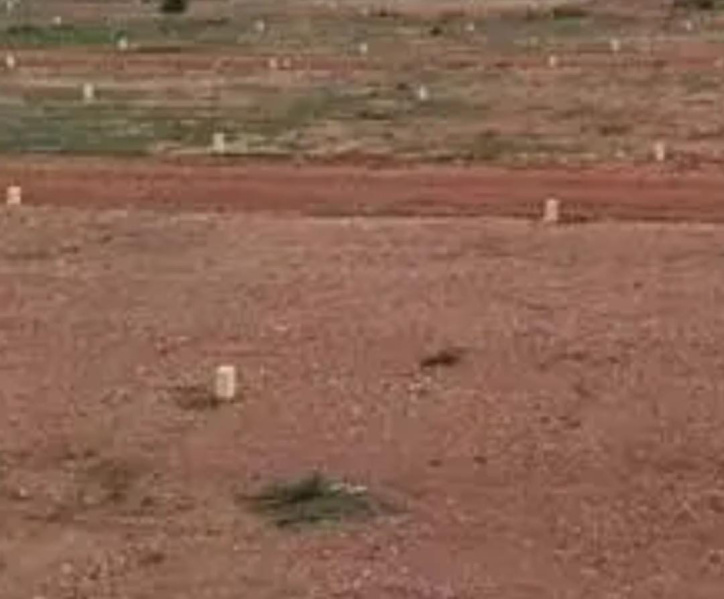 2624 Sq.ft. Commercial Land for Sale in Nerkundram, Chennai
