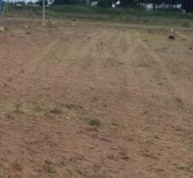 9600 Sq.ft. Commercial Land for Sale in Egmore, Chennai