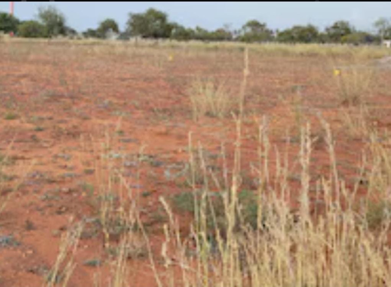  3 Acre Commercial Land for Sale in Kuniyamuthur, Coimbatore