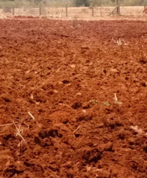 Agricultural Land for Sale in Melacheval, Tirunelveli