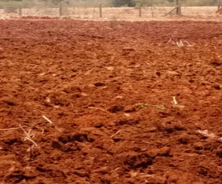 5 Acre Agricultural/Farm Land for Sale in Melacheval, Tirunelveli