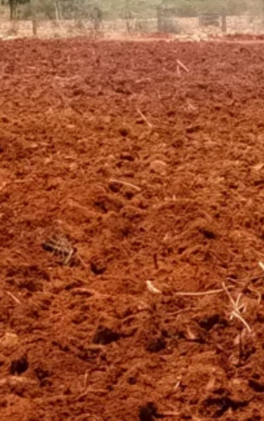 5 Acre Agricultural/Farm Land for Sale in Melacheval, Tirunelveli