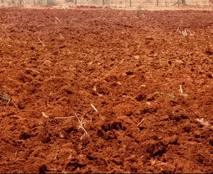 5 Acre Agricultural/Farm Land for Sale in Melacheval, Tirunelveli